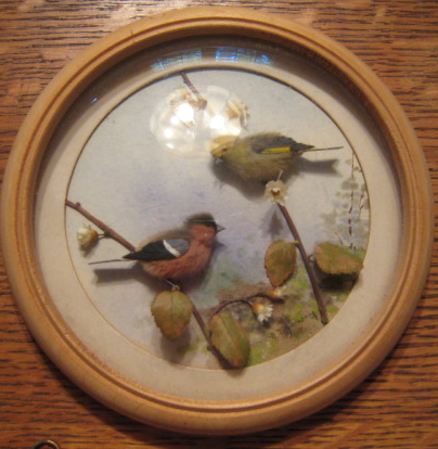 Greenfinch and Bullfinch (5-inch)
